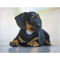 An Adorable Dog - Art Gallery  Oil Painting Reproductions