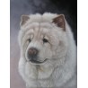 Dog Oil Painting 22 - Art Gallery  Oil Painting Reproductions