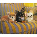 Dog Oil Painting 27 - Art Gallery  Oil Painting Reproductions