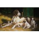 Dog Oil Painting 30 - Art Gallery Oil Painting Reproductions