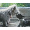 Dog Oil Painting 32 - Art Gallery  Oil Painting Reproductions