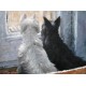 Dog Oil Painting 34 - Art Gallery Oil Painting Reproductions
