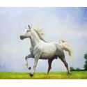Horses Oil Painting 3 - Art gallery Oil Painting Reproductions