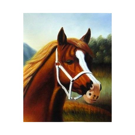 Horses Oil Painting 6 - Art gallery Oil Painting Reproductions