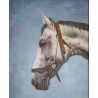 Horses Oil Painting 7 - Art gallery Oil Painting Reproductions