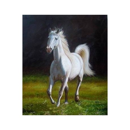 Horses Oil Painting 9 - Art gallery Oil Painting Reproductions