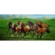 Horses Oil Painting 12 - Art gallery Oil Painting Reproductions