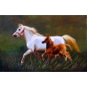 Horses Oil Painting 21 - Art gallery Oil Painting Reproductions