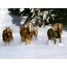 Horses Oil Painting 24 - Art gallery Oil Painting Reproductions