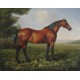 Horses Oil Painting 30 - Art gallery Oil Painting Reproductions
