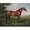 Horses Oil Painting 30 - Art gallery Oil Painting Reproductions