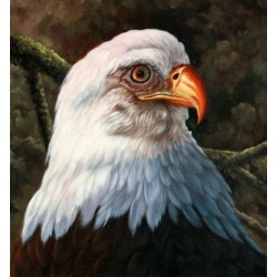 Wild Life Oil Painting 1 - Art Gallery Oil Painting Reproductions