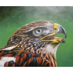 Wild Life Oil Painting 2 - Art Gallery Oil Painting Reproductions