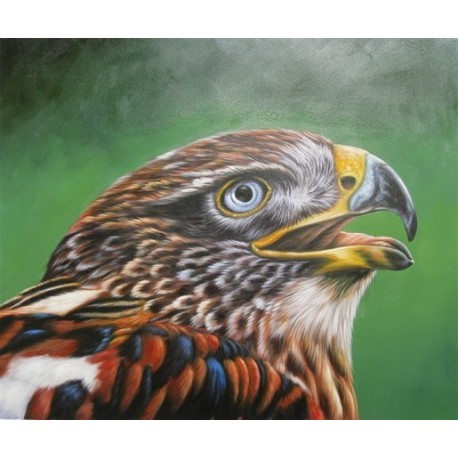 Wild Life  Oil Painting 2 - Art Gallery  Oil Painting Reproductions