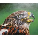 Wild Life  Oil Painting 2 - Art Gallery  Oil Painting Reproductions