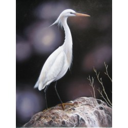 Wild Life Oil Painting 7 -...