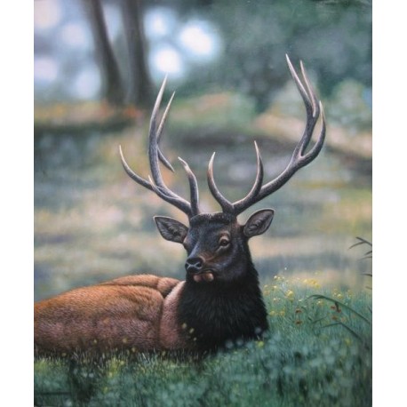 Wild Life Oil Painting 9 - Art Gallery  Oil Painting Reproductions