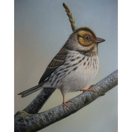 Wild Life Oil Painting 10 - Art Gallery  Oil Painting Reproductions