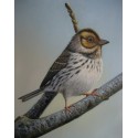 Wild Life Oil Painting 10 - Art Gallery  Oil Painting Reproductions