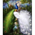 Wild Life Oil Painting 12 - Art Gallery  Oil Painting Reproductions