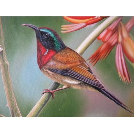 Wild Life Oil Painting 13 - Art Gallery  Oil Painting Reproductions