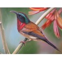Wild Life Oil Painting 13 - Art Gallery  Oil Painting Reproductions