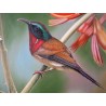 Wild Life Oil Painting 13 - Art Gallery  Oil Painting Reproductions