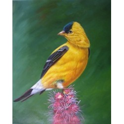 Wild Life Oil Painting 14 - Art Gallery Oil Painting Reproductions