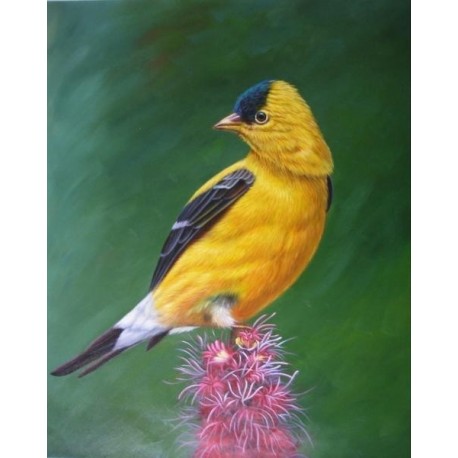 Wild Life Oil Painting 14 - Art Gallery  Oil Painting Reproductions