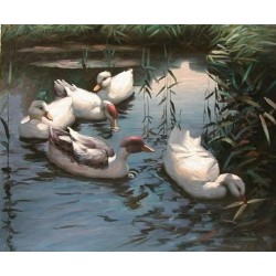 Wild Life Oil Painting 15 - Art Gallery Oil Painting Reproductions