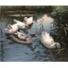 Wild Life Oil Painting 15  - Art Gallery  Oil Painting Reproductions