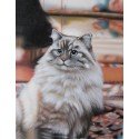 Wild Life Oil Painting 22 - Art Gallery  Oil Painting Reproductions