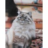 Wild Life Oil Painting 22 - Art Gallery  Oil Painting Reproductions