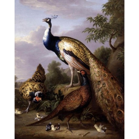 Peacock, Hen and Cock Pheasant in a Landscape by Tobias Stranover - oil painting art gallery