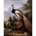 Peacock, Hen and Cock Pheasant in a Landscape by Tobias Stranover ...