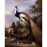 Peacock, Hen and Cock Pheasant in a Landscape by Tobias Stranover ...