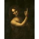 St. John the Baptist by Leonardo Da Vinci