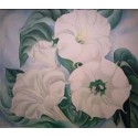 Jimson Weed by Georgia Okeefee