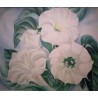Jimson Weed by Georgia Okeefee