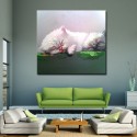 Cute Cat - Hand-Painted Animal Wall Art Modern Oil Painting