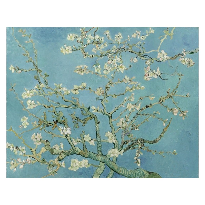 Almond Blossom By Vincent Van Gogh