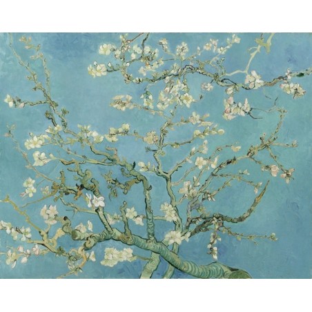 Almond Blossom By Vincent Van Gogh