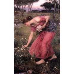 Narcissus 1912 by John William Waterhouse-Art gallery oil painting...