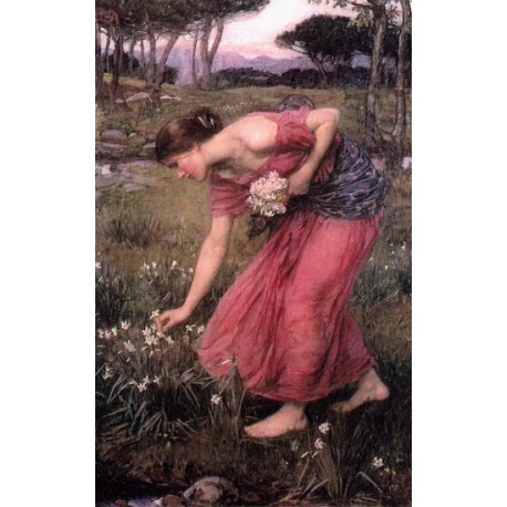 Narcissus 1912 by John William Waterhouse-Art gallery oil painting...