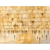 Ancient Western Wall stones painting on canvas