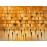 Western Wall painting showing golden ancient stones with silhouettes of worshippers