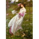 Windswept 1902 by John William Waterhouse-Art gallery oil painting...