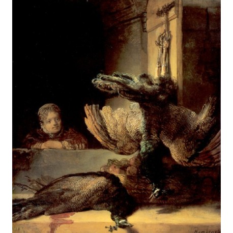 Still Life with Peacocks 1639 by Rembrandt Harmenszoon van Rijn-Art gallery oil painting reproductions