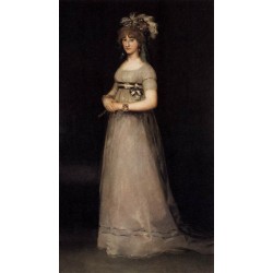 Portrait of the Countess of Chinchon by Francisco de Goya-Art...