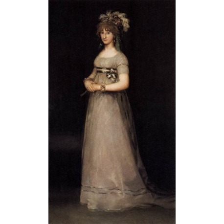Portrait of the Countess of Chinchon by Francisco de Goya-Art...